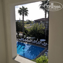 фото из отзыва ID 2065726