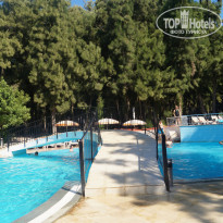 фото из отзыва ID 2066832