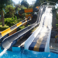 фото из отзыва ID 2066832