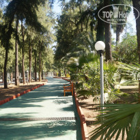 фото из отзыва ID 2066832