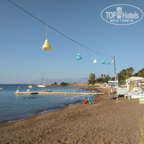 фото из отзыва ID 2066929