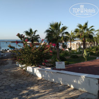 фото из отзыва ID 2066929