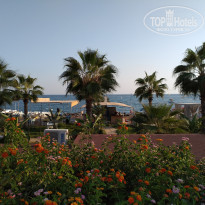 фото из отзыва ID 2066929