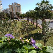 фото из отзыва ID 2066929