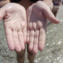 фото из отзыва ID 2066903