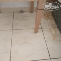 фото из отзыва ID 2066400