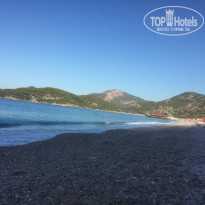 фото из отзыва ID 2066987