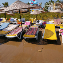 фото из отзыва ID 2067055