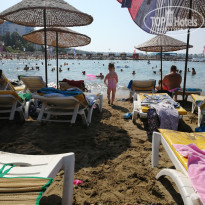 фото из отзыва ID 2067055