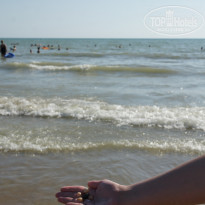 фото из отзыва ID 2067109