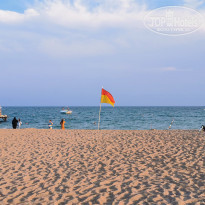 фото из отзыва ID 2067169