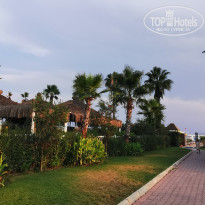 фото из отзыва ID 2067169