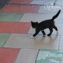 фото из отзыва ID 2067173