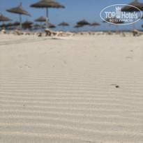 фото из отзыва ID 2067175