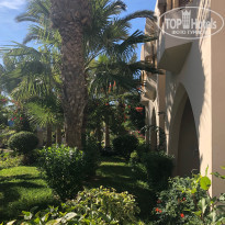 фото из отзыва ID 2067175