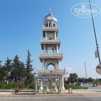 фото из отзыва ID 2067230