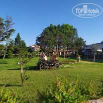 фото из отзыва ID 2067180