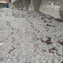 фото из отзыва ID 2067273