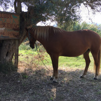 фото из отзыва ID 2066839