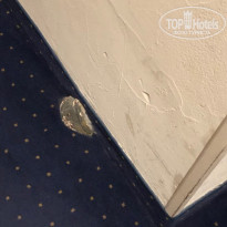 фото из отзыва ID 2067327