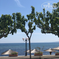 фото из отзыва ID 2067331