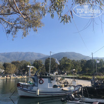 фото из отзыва ID 2067331