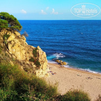 фото из отзыва ID 2067092