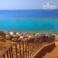 фото из отзыва ID 2067380