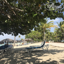 фото из отзыва ID 2067466