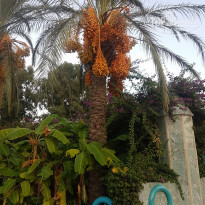 фото из отзыва ID 2067681