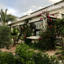 фото из отзыва ID 2067694