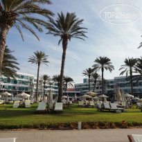 фото из отзыва ID 2067701