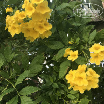 фото из отзыва ID 2067722