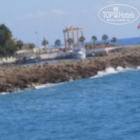 фото из отзыва ID 2067948