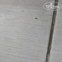 фото из отзыва ID 2067943