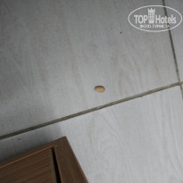 фото из отзыва ID 2067943