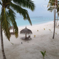 фото из отзыва ID 2067986