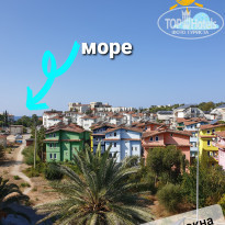 фото из отзыва ID 2068029