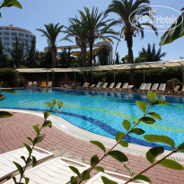 фото из отзыва ID 2068029