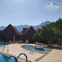 фото из отзыва ID 2068005