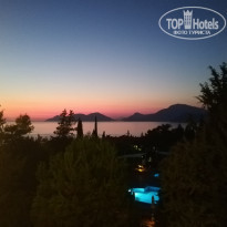 фото из отзыва ID 2068093