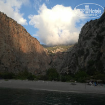 фото из отзыва ID 2068093