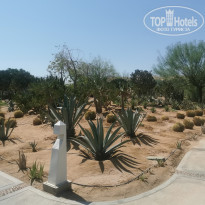 фото из отзыва ID 2068103