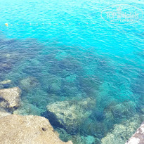 фото из отзыва ID 2068131