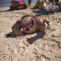 фото из отзыва ID 2068195