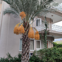 фото из отзыва ID 2068296