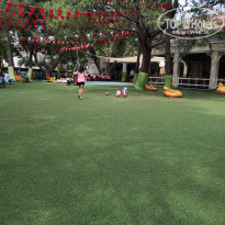 фото из отзыва ID 2068373