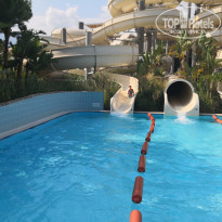 фото из отзыва ID 2068373