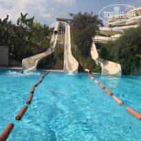 фото из отзыва ID 2068373