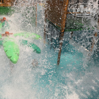 фото из отзыва ID 2068373